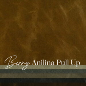 Pelle Anilina, le tre nuove espressioni di Real Piel.